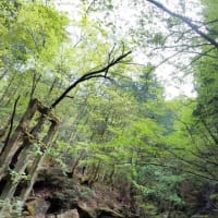 那珂川水系、箒川・赤川本谷