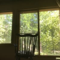 夏らしくなってきました