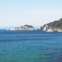 昨日は日本のエーゲ海（白崎海岸）