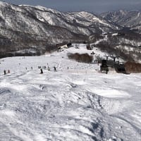 ２０２５スキー２０日目かぐらスキー場はザク雪