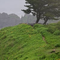 葦毛崎にて