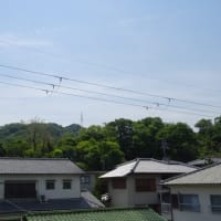目に青葉邪魔をするのは「竹の秋」