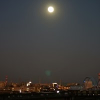 Cold Moon