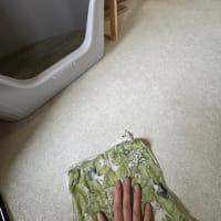 拭く日々を更新