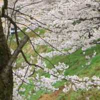 雨の中の湯村温泉