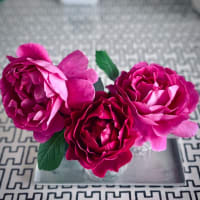 薔薇とバジリコ