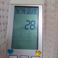 出たくな～い