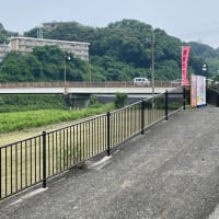 梅雨明けとは名のみの曇天続き