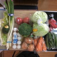 給料日前だけど