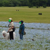 しゅうへい 昭和記念公園デビュー～＾＾