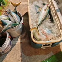 電気釣り出船中