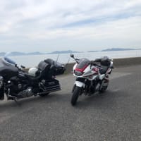 悪天候の次は緊急事態宣言ってか(;´д｀)