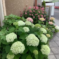 仙腸関節痛と鍼灸治療