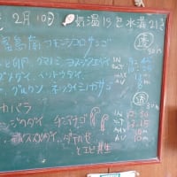 20250210ダイビングログ