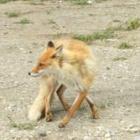 瀬石温泉と相泊温泉