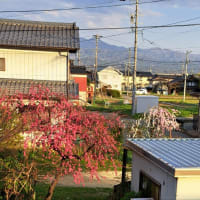 今日いち-2025年4月14日