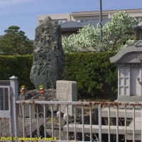 去年の桜ネタ(2023年4月1日) 第４弾、泉佐野市「意賀美神社」の桜