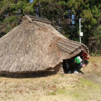 新潟県立植物園と古津八幡山遺跡を探索