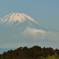 　今朝の富士山　204.5.14.（火）