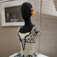 白鳥の湖
