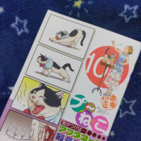 合うか合わないか…
