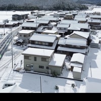 上空からの映像