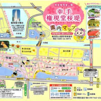 幸手の権現堂桜を見てきました