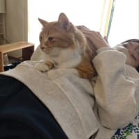 怖かった。