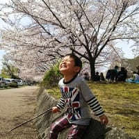 保育園に入園しました。