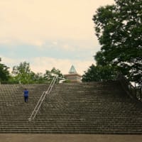 相模原公園散策