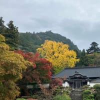大窪寺の紅葉