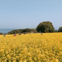 治療法のない病　「神山診療所」のみが頼りです。