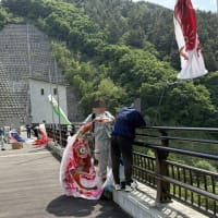 浅川ダムの鯉のぼりを取り外しました！