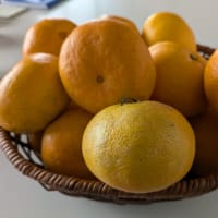 コタツにミカン