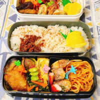 晩御飯(6日分)とお弁当