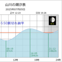 鯵釣り