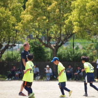 ステップリーグの試合結果（U11）
