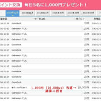 11～12月のネット収入【1600】円
