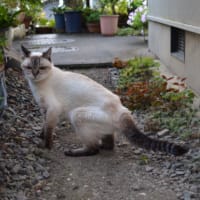 みなさまありがとうございました！！