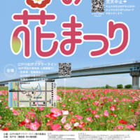 「江戸川松戸フラワーライン春の花まつり２０２４」