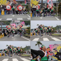UWAJIMA EXPO　 宇和島よさこい祭り 
