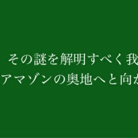 アマゾンの奥地へ行っても解決しない問題
