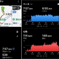 早朝ラン８ｋｍ