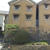 部活女子生徒に淫行させ動画撮影した中学校教員に執行猶予判決は相当なのだろうか　―　わいせつ教員判決の量刑傾向とは