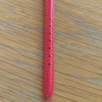 ランチは、愛する友と、ミケイラ！