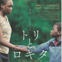 2023年春シーズン新作映画レヴューNO.3：「アダマン号に乗って」「聖地には蜘蛛が巣を張る」など