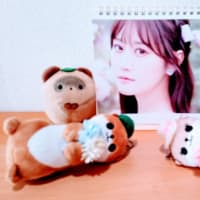 ぽんぽこ日記 TOP😄（最終更新　6/29　12:01🕛）