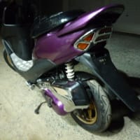 ホンダ　ライブディオZX