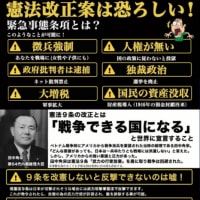 現地観察＋愛国心煽り🇯🇵