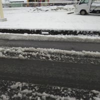 予報通りの雪